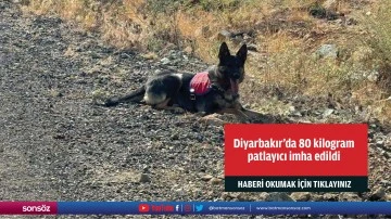 Diyarbakır'da 80 kilogram patlayıcı imha edildi