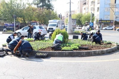 Diyarbakır’da gelecek yeşilleniyor