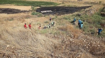 Diyarbakır'da Kaybolan Narin İçin Devam Eden Arama Çalışmaları