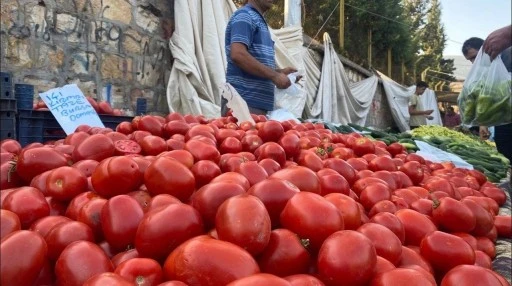 Domatesin tansiyonu yükseldi