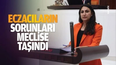 Eczacıların sorunları meclise taşındı