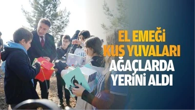 El emeği kuş yuvaları ağaçlarda yerini aldı