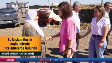 Eş Başkan Bucak, mahallelerde incelemelerde bulundu