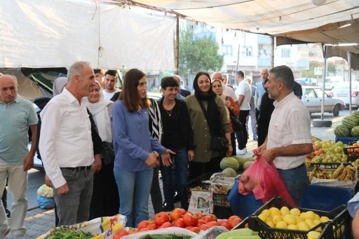 Eş Başkanlar, 4 mahallede inceleme yaptı