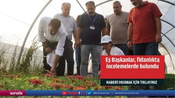 Eş Başkanlar, fidanlıkta incelemelerde bulundu