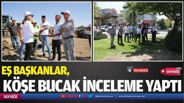 Eş Başkanlar, köşe bucak inceleme yaptı