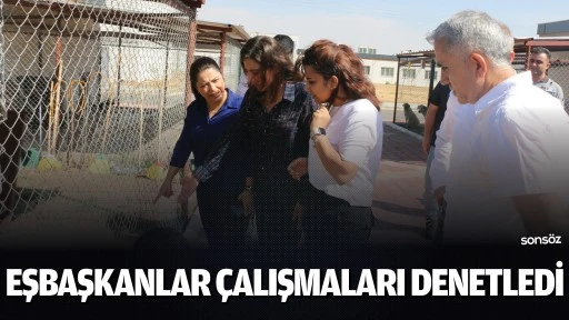 Eşbaşkanlar çalışmaları denetledi