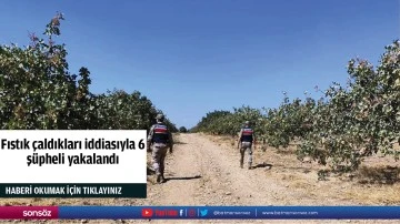 Fıstık çaldıkları iddiasıyla 6 şüpheli yakalandı