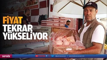 Fiyat tekrar yükseliyor