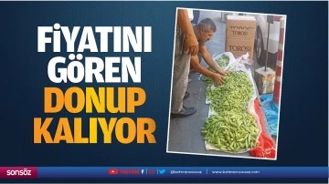 Fiyatını gören donup kalıyor