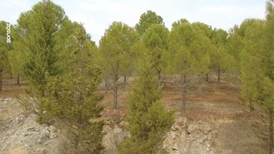 Gaziantep'te atıl alanlar dikilen fidanlarla yeşillendi