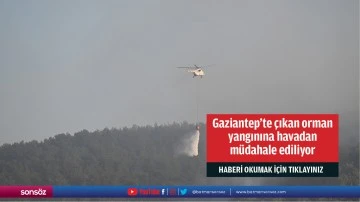 Gaziantep'te çıkan orman yangınına havadan müdahale ediliyor