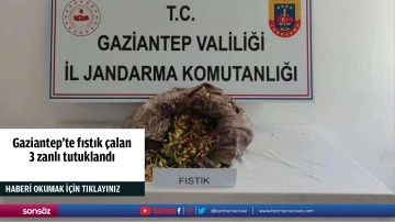 Gaziantep'te fıstık çalan 3 zanlı tutuklandı