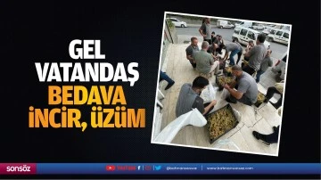 Gel vatandaş, bedava incir, üzüm…