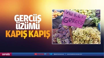 Gercüş üzümü kapış kapış