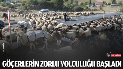 Göçerlerin zorlu yolculuğu başladı