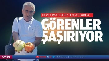 Görenler şaşırıyor