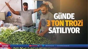 Günde 3 ton trozi satılıyor