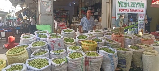 Günde 500 kilo zeytin satılıyor