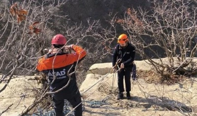  Mahsur kalan keçileri AFAD ekipleri kurtardı