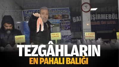 Tezgâhların en pahalı balığı