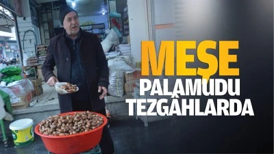 Meşe palamudu tezgâhlarda