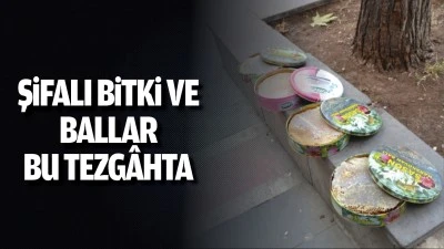 Şifalı bitki ve ballar bu tezgâhta