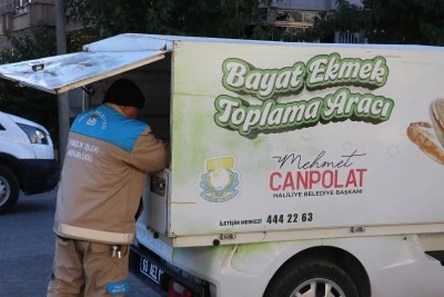 Haliliye'de toplanan bayat ekmekler sahipsiz hayvanlara yemek oluyor