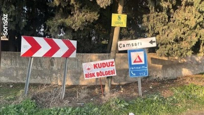 Hatay'da bir mahalle kuduz nedeniyle karantinaya alındı