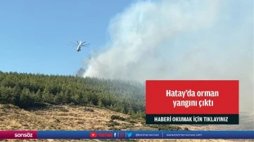 Hatay'da orman yangını çıktı