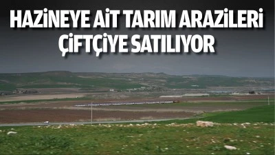 Hazineye ait tarım arazileri çiftçiye satılıyor