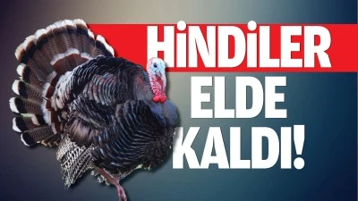 Hindiler elde kaldı!