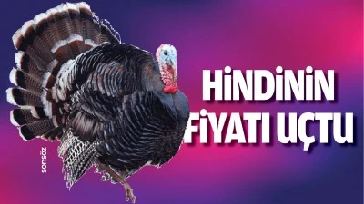 Hindinin fiyatı uçtu