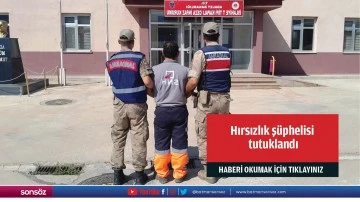 Hırsızlık şüphelisi tutuklandı