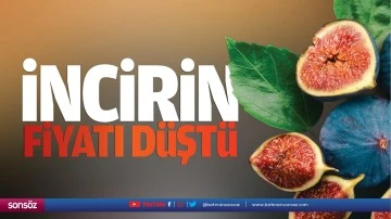 İncirin fiyatı düştü