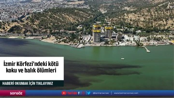 İzmir Körfezi'ndeki kötü koku ve balık ölümleri