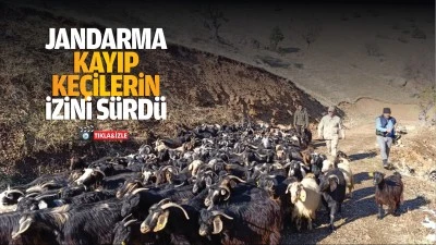 Jandarma, kayıp keçilerin izini sürdü