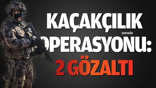 Kaçakçılık operasyonu: 2 Gözaltı