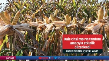 Kale cinsi mısırın tanıtımı amacıyla etkinlik düzenlendi