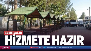 Kamelyalar hizmete hazır