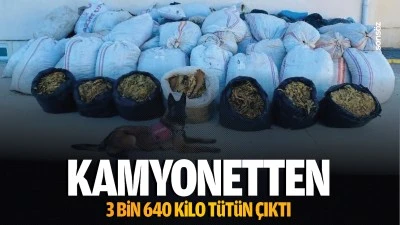 Kamyonetten 3 bin 640 kilo tütün çıktı