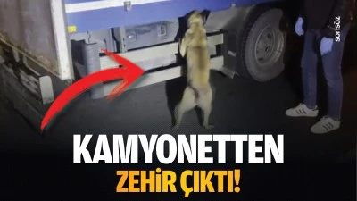 Kamyonetten zehir çıktı!