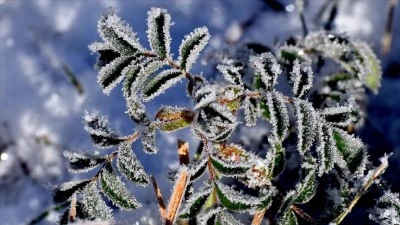 Kars'ta kar yerini soğuk havaya bıraktı