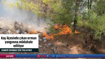 Kaş ilçesinde çıkan orman yangınına müdahale ediliyor