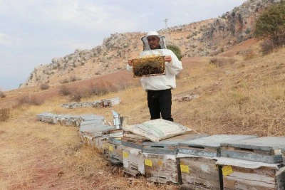 Kayınpederine özenerek arıcı oldu