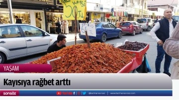 Kayısıya rağbet arttı