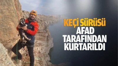 Keçi sürüsü AFAD tarafından kurtarıldı