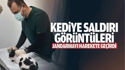 Kediye saldırı görüntüleri jandarmayı harekete geçirdi