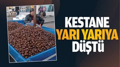 Kestane yarı yarıya düştü