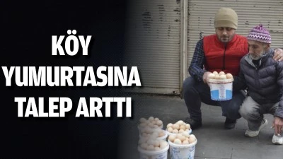 Köy yumurtasına talep arttı